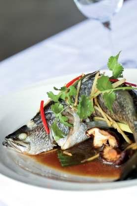 00 Steam whole snapper with ginger & shallot sauce Garlic King Prawn (*GF) $32.