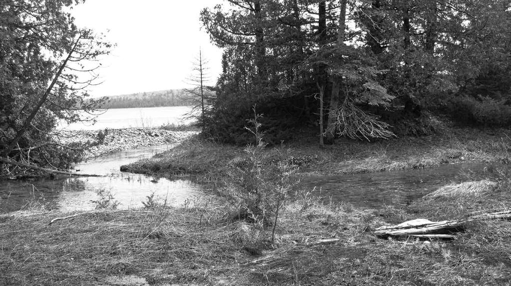92 THE MICHIGAN BOTANIST Vol. 53 FIGURE 7. Stream leaving northern fen and flowing into Robinson Bay of the North Channel. April 6, 2012.