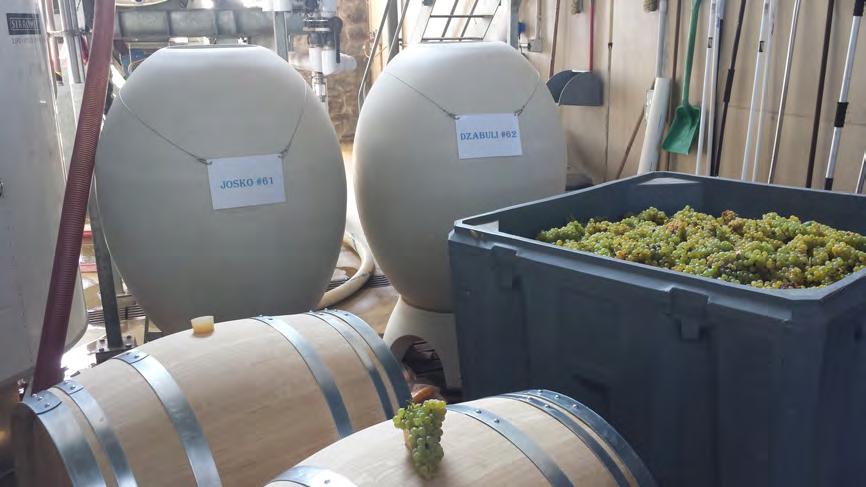 Magnum blew us away we invested 2-3 tonnes of Chardonnay around 3 tonnes of grape most going into the eggs with half a tonne going into barrel and used it as a yardstick to show the difference.