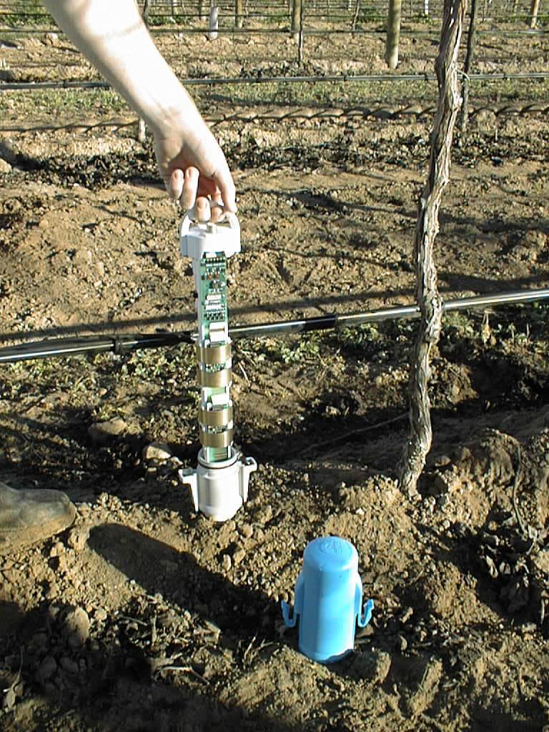 A capacitance sensor used to measure soil moisture content.