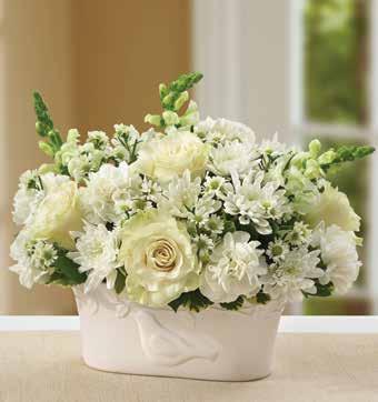 CORE 2015 Call us at 1-800-BloomNet (1-800-256-6663) VENDOR REF DESCRIPTION SUBSTITUTION UNIT QTY BloomNet or Dove Planter - Codified Each 1 Rose White 50 cm Stem 4 Snapdragon White Stem 3 Carnation