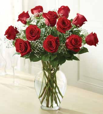 99) PC #1080 YL: 1-800- Love's Embrace 6 Stems Yellow Roses ($39.99) PC #1080 PR: 1-800- Love's Embrace 6 Stems Purple Roses ($39.99) PC #1080 M: 1-800- Love's Embrace 6 Stems Multi Roses ($39.