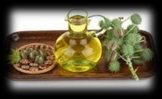 Oil -Fixed Vegetable Oils (Rice bran oil, Peanut oil, Sesame oil,