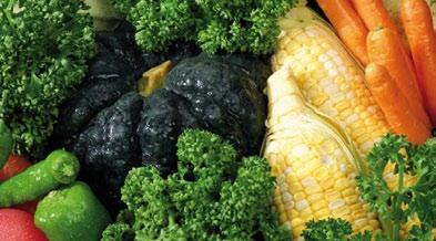 VEGETABLE CROP PROTECTION The gross value of Australian vegetable production has climbed steadily over the past 10 years and today is estimated to be well in excess of $3 billion, this production
