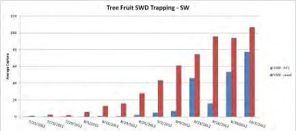 Timing of SWD activity in MI cherry 2011