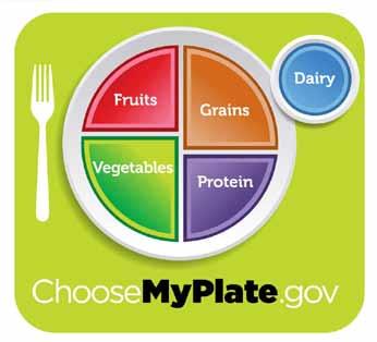 Choose Healthier Foods From Each Group Every food group has a section on MyPlate. Choose the food group in which each of these foods belong.