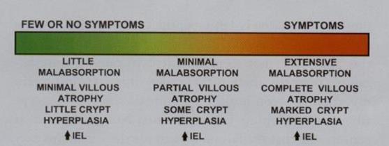 Spectrum of Pathology and