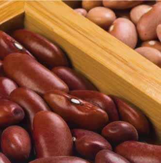 BEANS Metro # Brand Item Description Pack/Size 863477 West Creek Dark Red Kidney Beans in Brine 6/#10