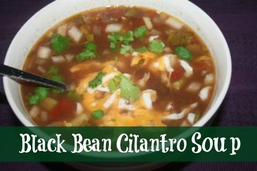 Crockpot Black Bean Cilantro Soup 1 pound of ground turkey or ground beef (browned) 1/2 onion chopped 1 can of diced tomatoes with green chilies (or you could use 1 cup salsa) 1 can of diced tomatoes