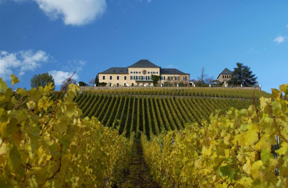Les impacts du changement climatique sur la viticulture: une vision européenne, Geisenheim University,