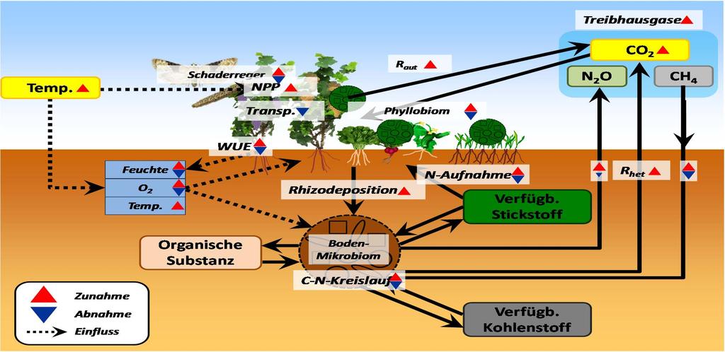 Feedback mechanisms between soil plant atmosphere can influence greenhouse gas emissions and interactions betweeen pathogens and plants,
