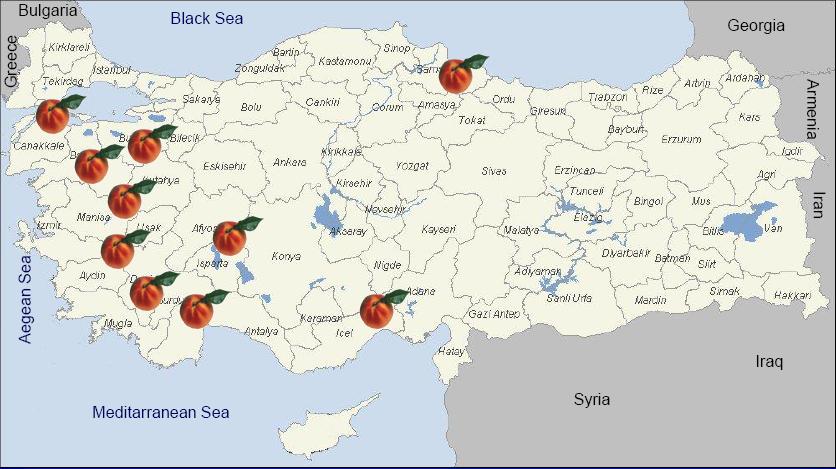 Peach Growing Regions in Turkey Total production: 552.