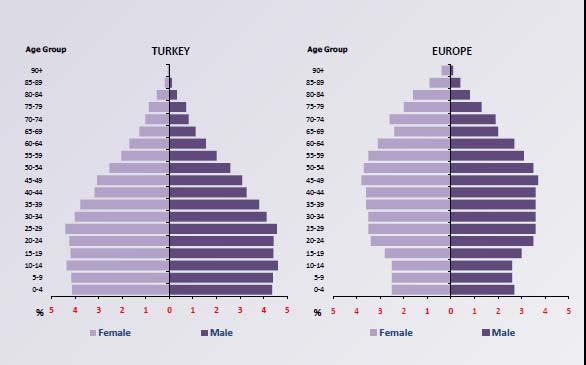 Potential of Young Population Population Pyramid