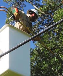 CAREFUL TREE PLANTING AND PRUNING HELP PROTECT YOUR ELECTRICAL SERVICE No one wants to be without power after a storm.