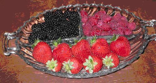 Reviewed March 2010 Berries Debra Proctor, Family and Consumer Sciences Agent Charlotte Brennand, Food Preservation Specialist Did you know?! Berries belong to the rose (Rubus) family.