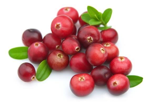 CRANBERRIES Glossy red, tart and tangy, Naturipe