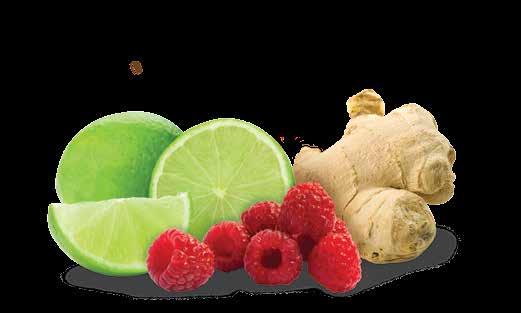Lime-Ginger Raspberry Ice Yield: 2 gal. or 32 servings, 1 cup each INGREDIENTS WEIGHTS MEASURES Ginger ale 256 fl. oz. 2 gal. CRYSTAL LIGHT Raspberry Ice Drink Mix 1.8 oz. One 2-gal.