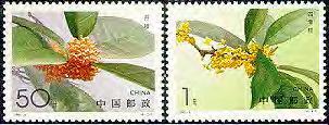 Lan Su Garden Plant Talks Osmanthus 桂 花 ( guì huā ) Elizabeth Cha Smith (01/20/2018) Moon Magic: Osmanthus in Chinese Culture In the Chinese calendar, osmanthus is the flower for the eighth month,