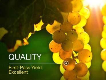 Assessment of relationships between grape chemical composition and