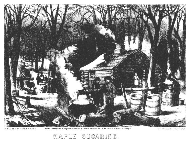 Maple syrup 1 Look at the pictures. What do you see?