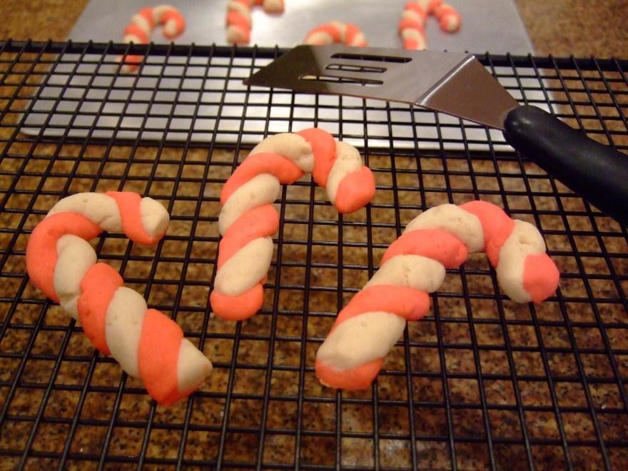 Candy Cane Cookies Ingredients: 1 cup butter, softened 1 cup powdered sugar 1 large egg 1/2 teaspoon vanilla extract 1/2 teaspoon peppermint extract, optional 2 1/2 cups flour 1/4 teaspoon salt 1/4