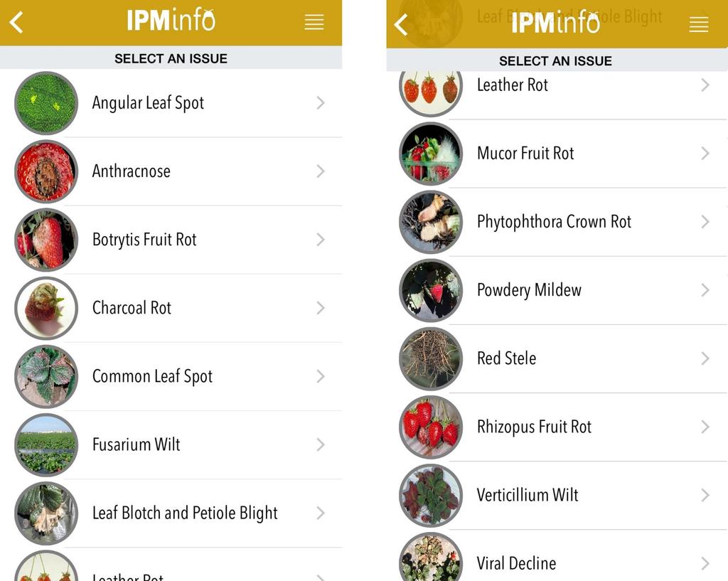 IPMinfo app for Apple