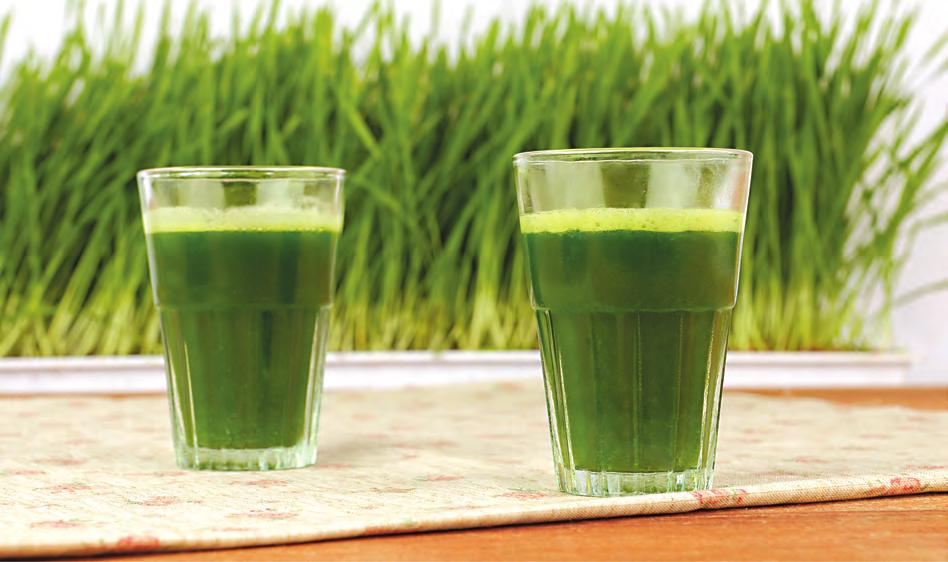 Wheatgrass Juice Wheatgrass is abundant with vitamins and minerals. It is effective in preventing aging and cancer.