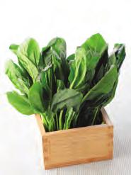 Keep the roots of the spinach because there is a lot of nutrition in