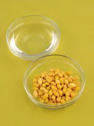 Mix the soybeans with the water or milk using a 1:1 ratio. 2.