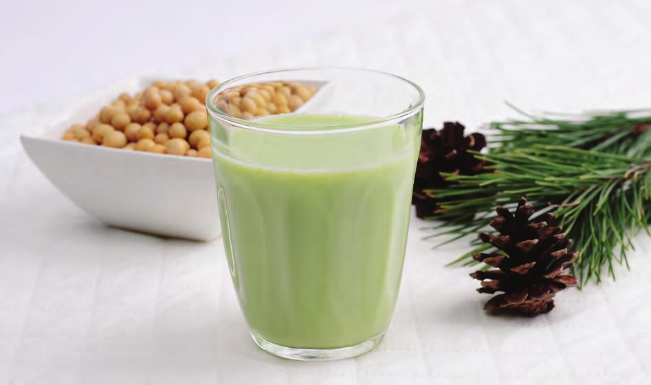 Pine Needle Soy Juice Pine needle soy juice will clear blood and increase circulation.