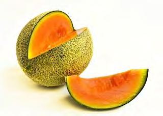 MELON F1 RED JADE Looking: Evenly distributed net throughout the melon skin, Salmon red flesh, round