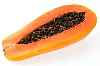 A very popular AGROMEC SEEDS Tainung No 2 type papaya.