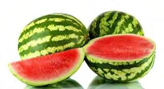 SEEDLESS WATERMELON F1 H-925 H 925 is a mid sized seedless watermelon variety, with 4 5 kg round shaped fruit; Rind is covered with Crimson Sweet type stripes, while thin