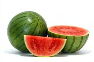 MINI SEEDLESS WATERMELON F1 G-774/N.C03 New mini seedless watermelon variety. The outlook of the rind is all sweet type with narrow black stripes on light background.