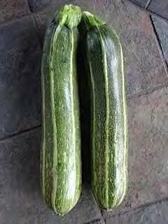 SQUASH F1 COCO SNAKE A hybrid Cocozelle zucchini that produces beautiful