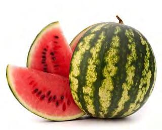 WATERMELON F1 M 34 Watermelon F1 M 34 is new hybrid crimson sweet watermelon varieties with high yields, showingexcellent resistance to diseases.