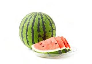 WATERMELON F1 FOUNAN Excellent growth, high yields, very sweet and compact fruits. Maturity: 85 90 days after sowing. Fruits weight 7 9 kg (15 19 lb).