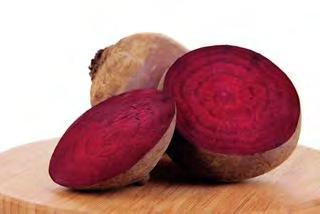 BEETROOT BEET ROOT DETROIT DARK RED This Detroit type variety has large, round roots and very smooth, strong foliage.