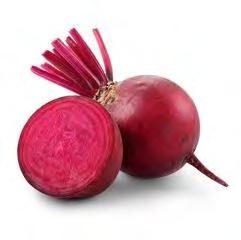 BEETROOT ROUGE DE DETROIT Globe shape, thick dark red roots with medium strong foliage.