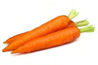 CARROT CARROT NEW KURODA ( AGROMEC SEEDS SELECTION) Deep orange red color roots, slightly tapered, 17 19 cm (7 in.) in length, 6 cm (2.3 in.) in diameter, with weight of 250 gram (0.