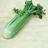 CELERY PASCAL CELERY Celery Pascal has a vigorous dark green and sturdy foliage with long, thick and smooth petiole.