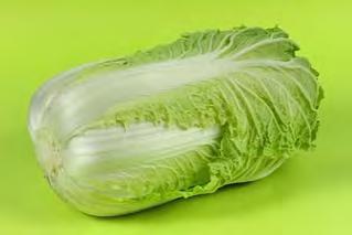 CHINESE CABBAGE F1 CCA3 CCA3 is adapted for cultivation in temperate countries, as well as tropical highlands. It can form heads of 2.5 kg 3 kg at full maturity, with a very good firmness.