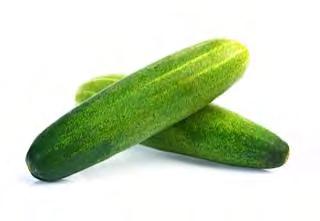 CUCUMBERS CUCUMBER F1 L 333 Medium slicing cucumber. Vigorous plant with many branches. Suitable for growing under greenhouse as well as in open fields. Fruit size is 4.