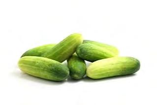 CUCUMBER F1 WHITE NO 5 A high yielding pickling cucumber with light green to white color. Early producing plant produces high yields of light green pickling or slicing type cucumbers.