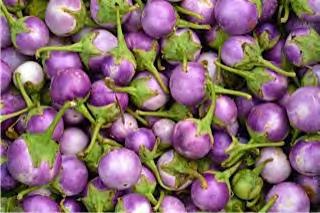 EGGPLANT EGGPLANT F1 PURPLE BALL Round, light purple fruits, fruits are around 2.5 3 cm in diameter each.