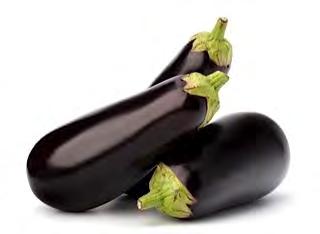 EGGPLANT F1 E-01 (F1 KALENDA) A very high yielding variety, strong vigor and suitable for warm and tropical cultivation. The fruits are slender long, slightly tapered, with bright black-purple color.