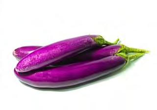 EGGPLANT F1 DK 03 Purple fruits, elongated shape (25 cm long, average weight of around 210 gram per fruit). Asian type. Excellent yield. 50 days maturity from transplant.