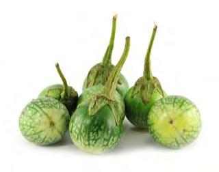 EGGPLANT F1 GREEN BALL Round, green and white fruits, with very light green striped shoulders fruits are around 4 5 cm (1.8 in.) in diameter each.