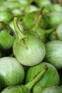 Asian variety, very popular as starters in Asian. EGGPLANT F1 NO 1 Round, green and white fruits, with very light green striped shoulders fruits are around 4 5 cm (1.8 in.