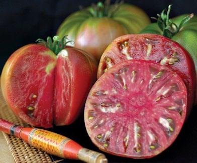 heirloom tomatoes can be